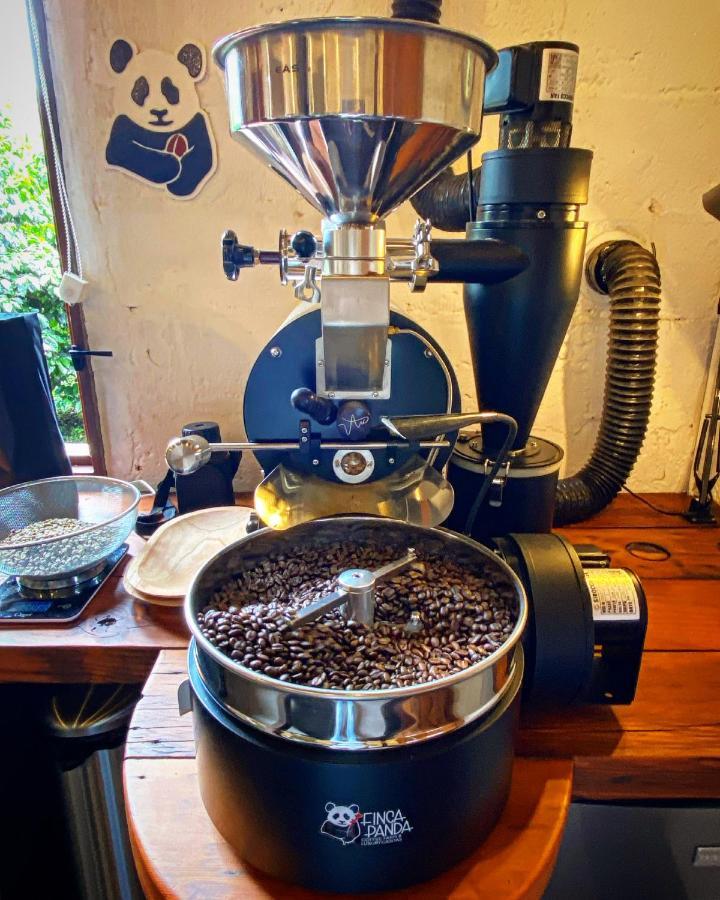 Finca Panda Boquete Eksteriør bilde