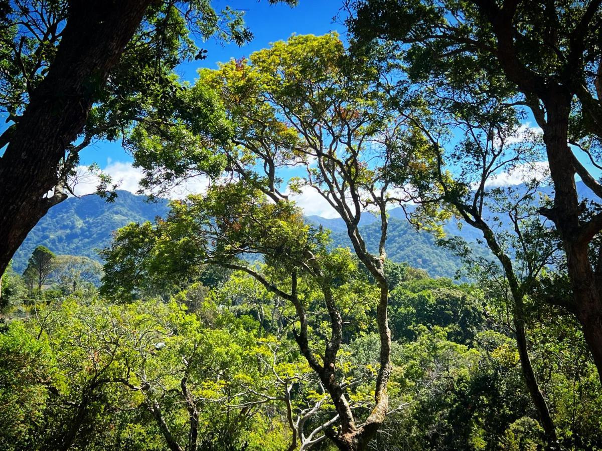 Finca Panda Boquete Eksteriør bilde